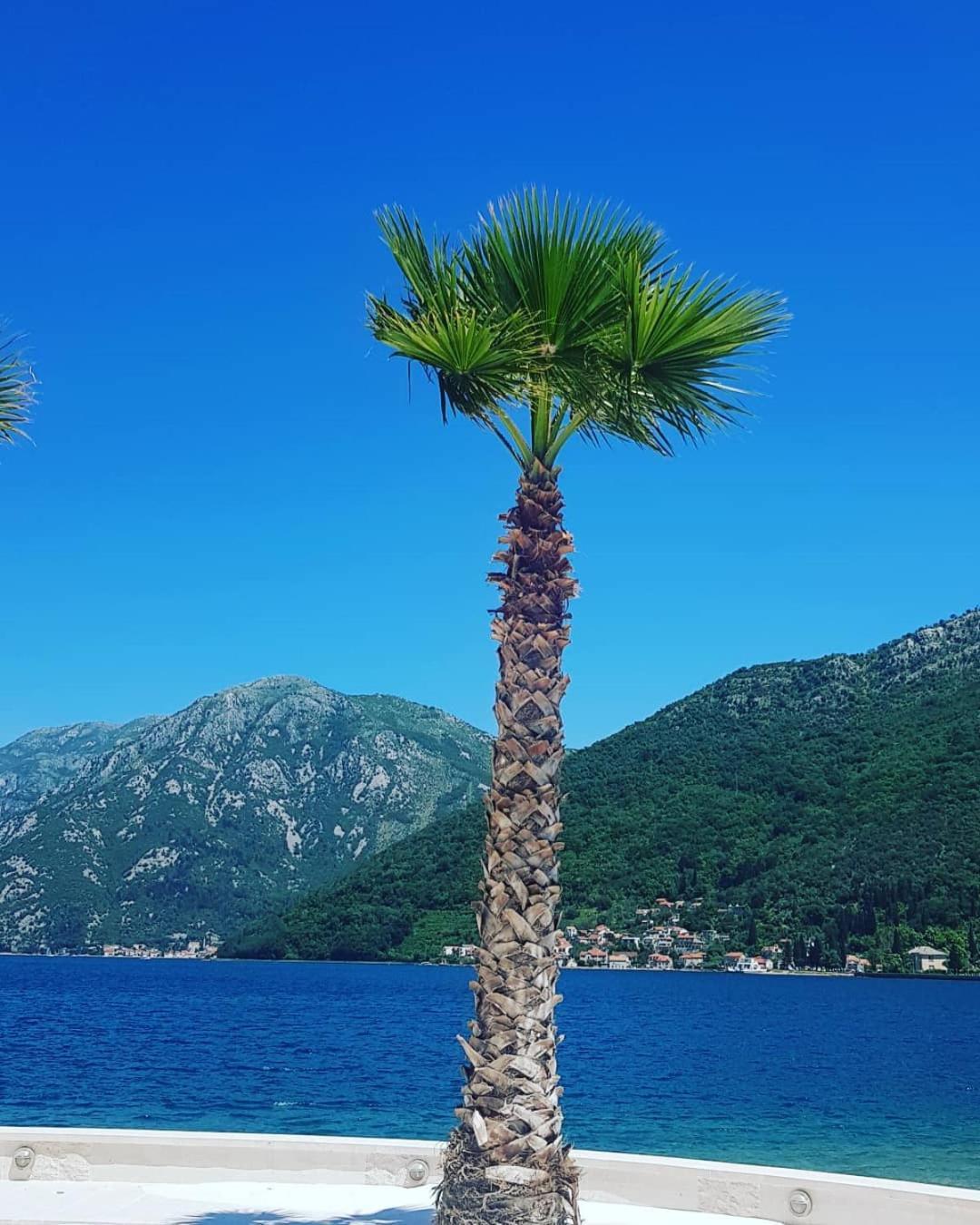 Apartman Taraca Villa Knezevic Χέρτσεγκ Νόβι Δωμάτιο φωτογραφία
